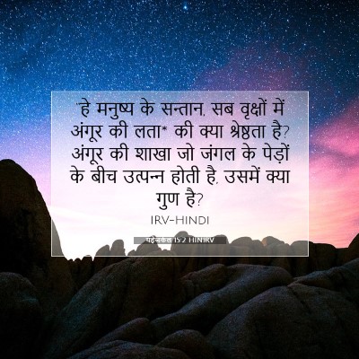 Picture 07 - यहेजकेल 15:2 HINIRV - “हे मनुष्य के - Bible Verse Picture