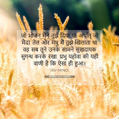 Picture 07 - यहेजकेल 16:19 HINIRV - जो भोजन मैंने तुझे - Bible Verse Picture