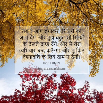 Picture 07 - यहेजकेल 16:41 HINIRV - तब वे आग लगाकर तेरे - Bible Verse Picture
