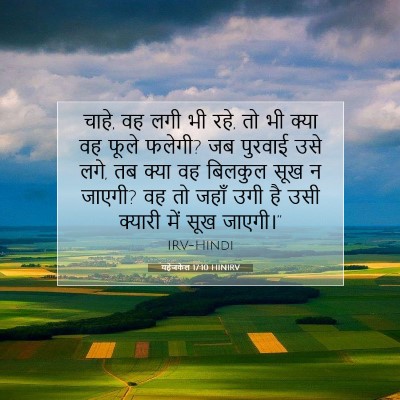 Picture 07 - यहेजकेल 17:10 HINIRV - चाहे, वह लगी भी रहे, - Bible Verse Picture