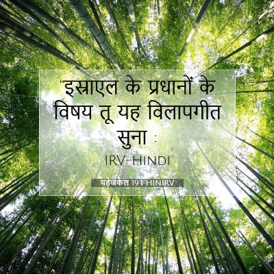 Picture 07 - यहेजकेल 19:1 HINIRV - “इस्राएल के - Bible Verse Picture