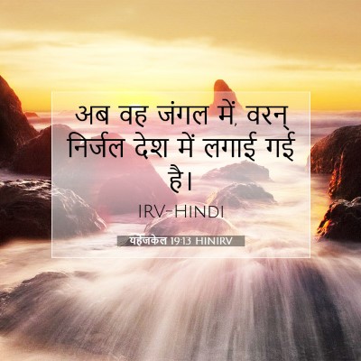 Picture 07 - यहेजकेल 19:13 HINIRV - अब वह जंगल में, - Bible Verse Picture