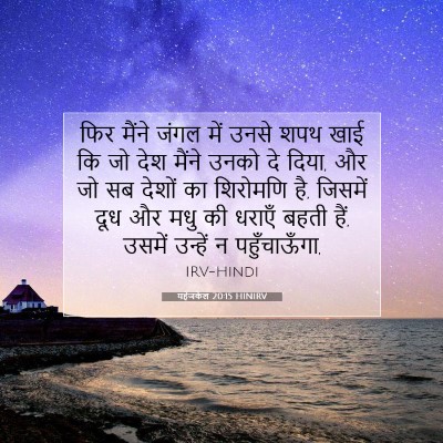 Picture 07 - यहेजकेल 20:15 HINIRV - फिर मैंने जंगल में - Bible Verse Picture