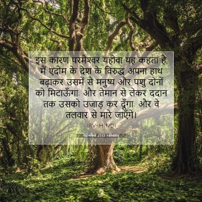 Picture 07 - यहेजकेल 25:13 HINIRV - इस कारण परमेश्‍वर - Bible Verse Picture