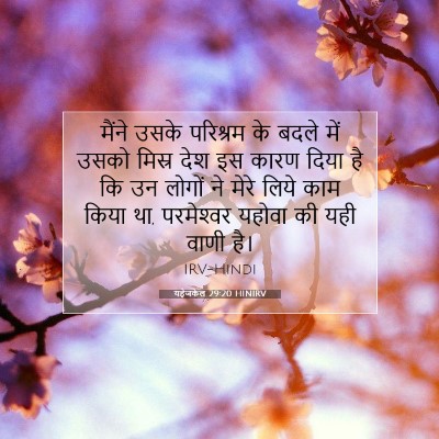 Picture 07 - यहेजकेल 29:20 HINIRV - मैंने उसके - Bible Verse Picture