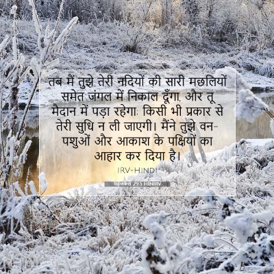 Picture 07 - यहेजकेल 29:5 HINIRV - तब मैं तुझे तेरी - Bible Verse Picture