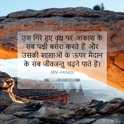 Picture 07 - यहेजकेल 31:13 HINIRV - उस गिरे हुए वृक्ष - Bible Verse Picture