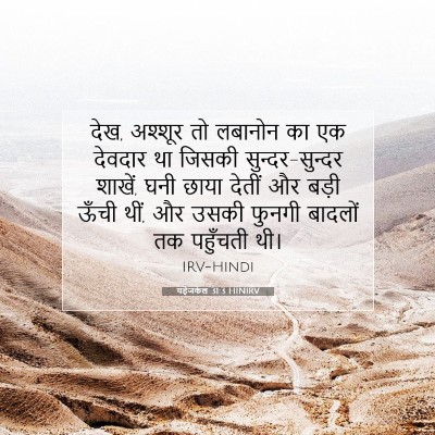 Picture 07 - यहेजकेल 31:3 HINIRV - देख, अश्शूर तो - Bible Verse Picture