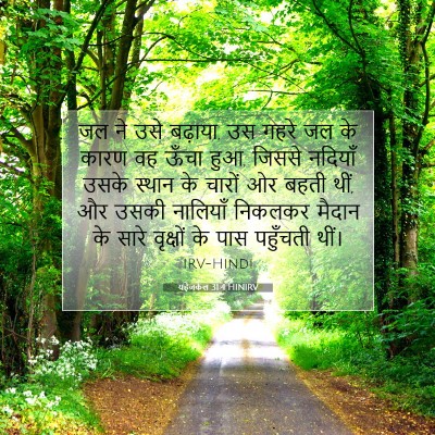 Picture 07 - यहेजकेल 31:4 HINIRV - जल ने उसे बढ़ाया, - Bible Verse Picture