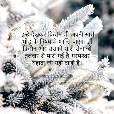 Picture 07 - यहेजकेल 32:31 HINIRV - “इन्हें देखकर - Bible Verse Picture