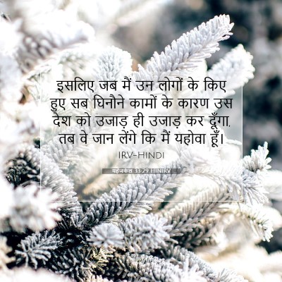 Picture 07 - यहेजकेल 33:29 HINIRV - इसलिए जब मैं उन - Bible Verse Picture