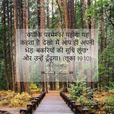 Picture 07 - यहेजकेल 34:11 HINIRV - “क्योंकि - Bible Verse Picture
