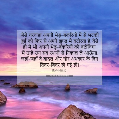 Picture 07 - यहेजकेल 34:12 HINIRV - जैसे चरवाहा अपनी - Bible Verse Picture