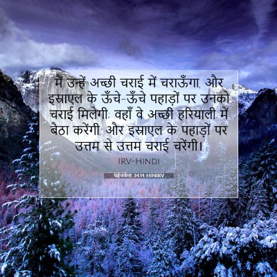 Picture 07 - यहेजकेल 34:14 HINIRV - मैं उन्हें अच्छी - Bible Verse Picture