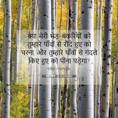 Picture 07 - यहेजकेल 34:19 HINIRV - क्या मेरी - Bible Verse Picture