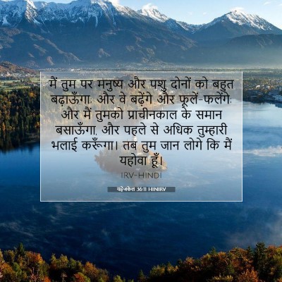 Picture 07 - यहेजकेल 36:11 HINIRV - मैं तुम पर मनुष्य - Bible Verse Picture