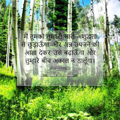Picture 07 - यहेजकेल 36:29 HINIRV - मैं तुमको - Bible Verse Picture