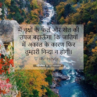 Picture 07 - यहेजकेल 36:30 HINIRV - मैं वृक्षों के फल - Bible Verse Picture