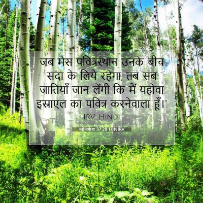 Picture 07 - यहेजकेल 37:28 HINIRV - जब मेरा - Bible Verse Picture