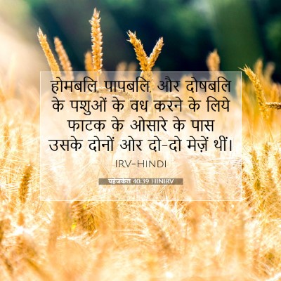 Picture 07 - यहेजकेल 40:39 HINIRV - होमबलि, पापबलि, और - Bible Verse Picture