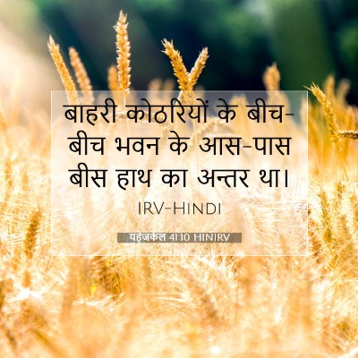 Picture 07 - यहेजकेल 41:10 HINIRV - बाहरी कोठरियों के - Bible Verse Picture