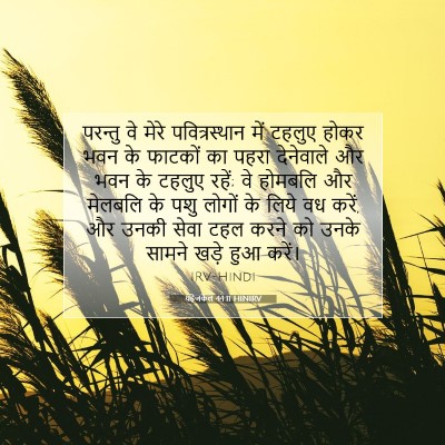 Picture 07 - यहेजकेल 44:11 HINIRV - परन्तु वे मेरे - Bible Verse Picture