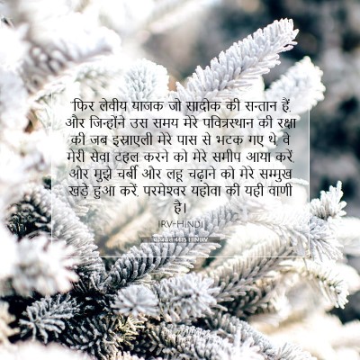 Picture 07 - यहेजकेल 44:15 HINIRV - “फिर लेवीय याजक जो - Bible Verse Picture