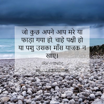 Picture 07 - यहेजकेल 44:31 HINIRV - जो कुछ अपने आप मरे - Bible Verse Picture