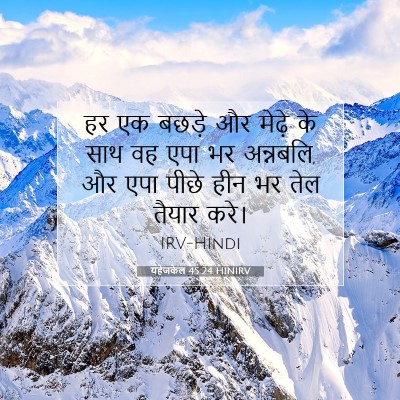 Picture 07 - यहेजकेल 45:24 HINIRV - हर एक बछड़े और - Bible Verse Picture