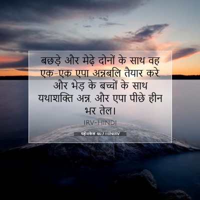 Picture 07 - यहेजकेल 46:7 HINIRV - बछड़े और मेढ़े - Bible Verse Picture