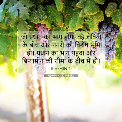 Picture 07 - यहेजकेल 48:22 HINIRV - जो प्रधान का भाग - Bible Verse Picture