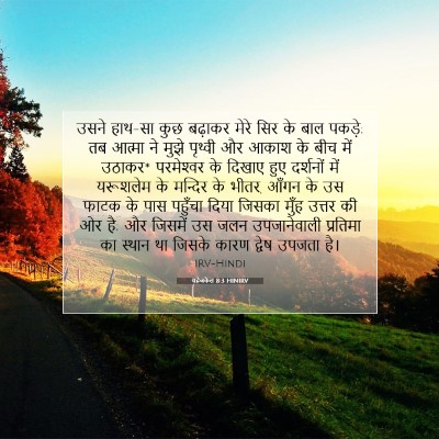 Picture 07 - यहेजकेल 8:3 HINIRV - उसने हाथ-सा कुछ - Bible Verse Picture