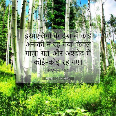 Picture 07 - यहोशू 11:22 HINIRV - इस्राएलियों के - Bible Verse Picture