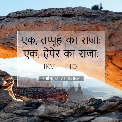 Picture 07 - यहोशू 12:17 HINIRV - एक, तप्पूह का राजा; - Bible Verse Picture