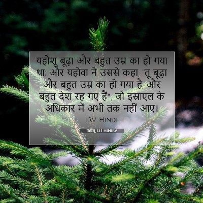Picture 07 - यहोशू 13:1 HINIRV - यहोशू बूढ़ा और - Bible Verse Picture