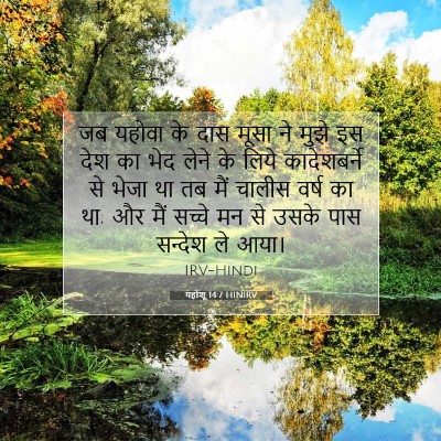 Picture 07 - यहोशू 14:7 HINIRV - जब यहोवा के दास - Bible Verse Picture