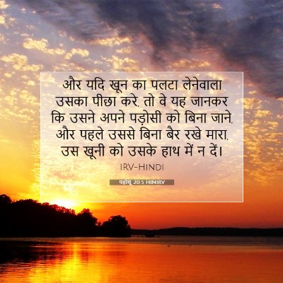 Picture 07 - यहोशू 20:5 HINIRV - और यदि खून का पलटा - Bible Verse Picture