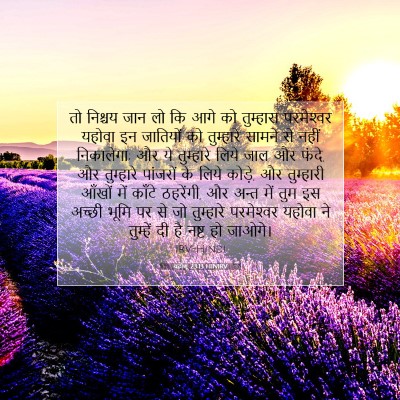 Picture 07 - यहोशू 23:13 HINIRV - तो निश्चय जान लो कि - Bible Verse Picture