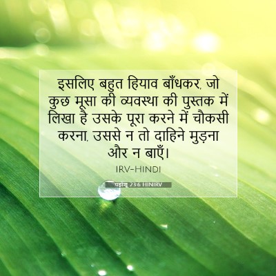 Picture 07 - यहोशू 23:6 HINIRV - इसलिए बहुत हियाव - Bible Verse Picture