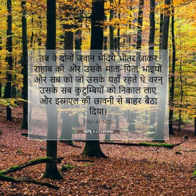 Picture 07 - यहोशू 6:23 HINIRV - तब वे दोनों जवान - Bible Verse Picture