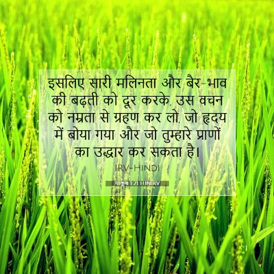 Picture 07 - याकूब 1:21 HINIRV - इसलिए सारी मलिनता - Bible Verse Picture
