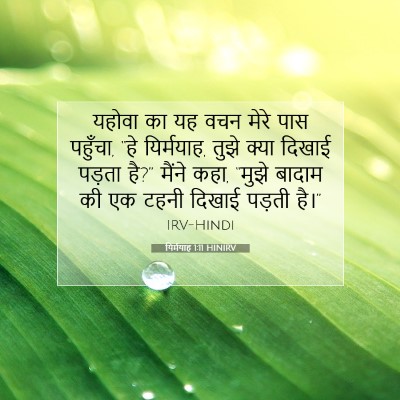 Picture 07 - यिर्मयाह 1:11 HINIRV - यहोवा का यह वचन - Bible Verse Picture