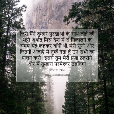 Picture 07 - यिर्मयाह 11:4 HINIRV - जिसे मैंने - Bible Verse Picture