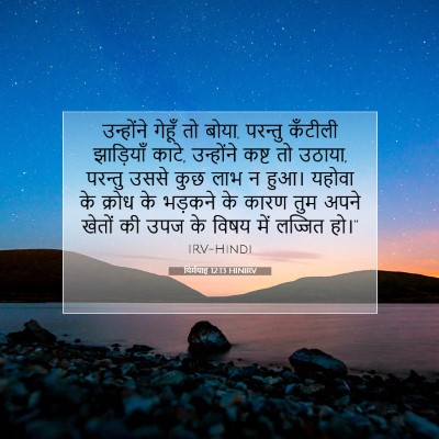 Picture 07 - यिर्मयाह 12:13 HINIRV - उन्होंने गेहूँ तो - Bible Verse Picture