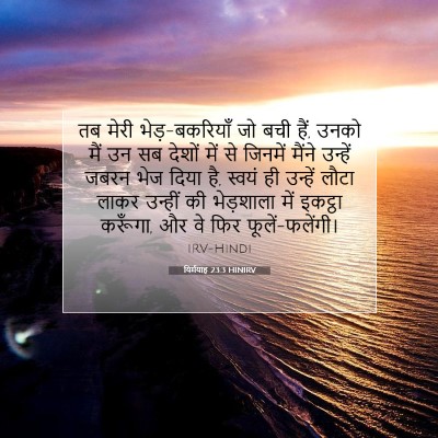 Picture 07 - यिर्मयाह 23:3 HINIRV - तब मेरी - Bible Verse Picture