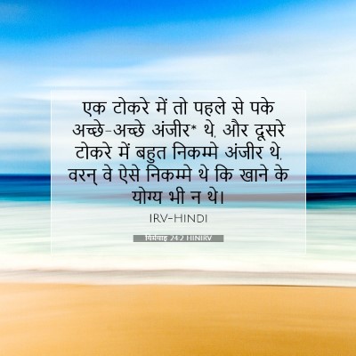 Picture 07 - यिर्मयाह 24:2 HINIRV - एक टोकरे में तो - Bible Verse Picture