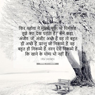 Picture 07 - यिर्मयाह 24:3 HINIRV - फिर यहोवा ने मुझसे - Bible Verse Picture