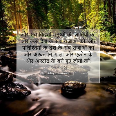 Picture 07 - यिर्मयाह 25:20 HINIRV - और सब विदेशी - Bible Verse Picture