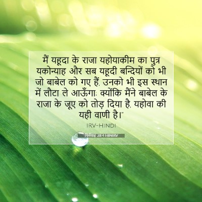 Picture 07 - यिर्मयाह 28:4 HINIRV - मैं यहूदा के राजा - Bible Verse Picture