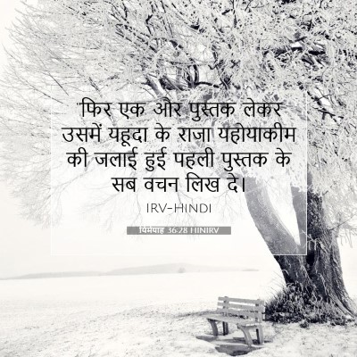 Picture 07 - यिर्मयाह 36:28 HINIRV - “फिर एक और पुस्तक - Bible Verse Picture